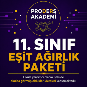 11 SINIF